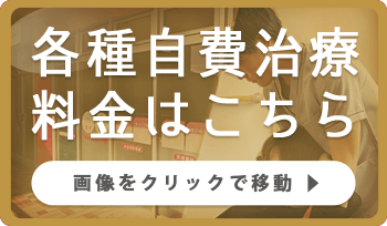 各種自費治療料金